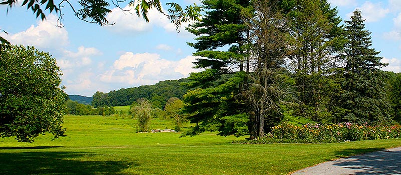 Chadds Ford park