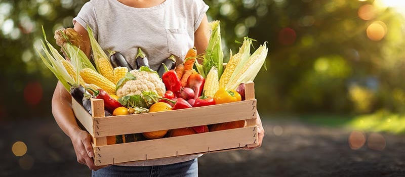 Trinity Farmbox