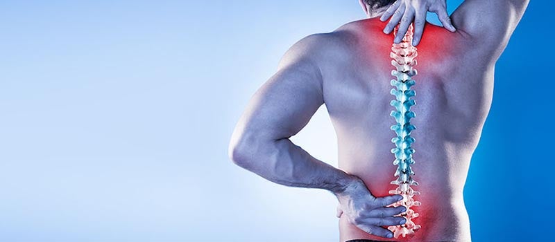 back xray