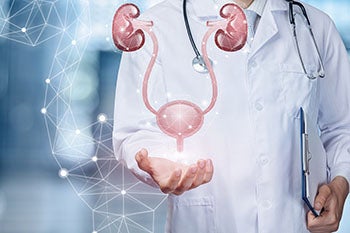 Urinary Tract