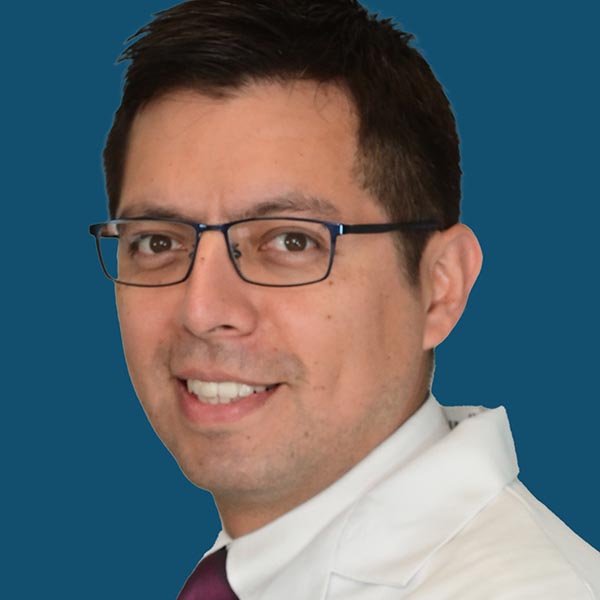 Luis Fernandez
