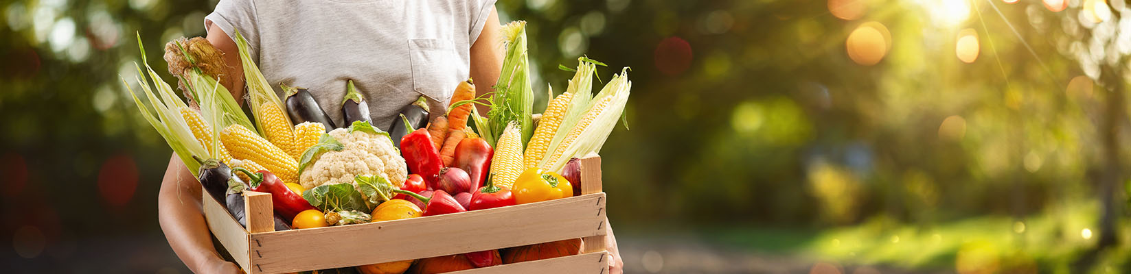 Trinity Farmbox